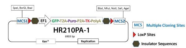 system biosciences