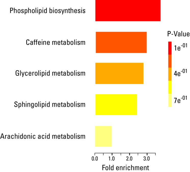 Pathways represented by metabolites that are enriched in exosomes from an AML patient