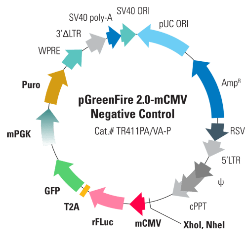 pGreenFire 2.0 mCMV Negative Control Lentivector & Virus